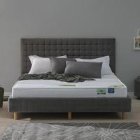 ราคา SB Design Square ที่นอน LOTUS รุ่น MICROLATEX-I ขนาด 5 ฟุต แถมฟรีหมอนหนุน 2 ใบ (24258002362)