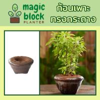 ราคา Magicblock กถ.- 3 ก้อนเพาะมหัศจรรย์ทรงกระถาง ขนาด กว้าง 18.5 x สูง 11 ซม (2911242178)