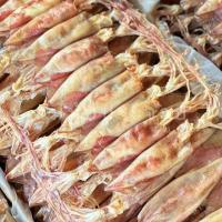 ราคา หมึกแพไข่(คัดไข่พิเศษ)VIPหมึกอร่อยไข่แน่นหมึกแพไข่ใหญ่(คัดพิเศษ)มีไข่ทุกตัวทุกแพ (21086179754)