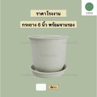 ราคา กระถางต้นไม้ พลาสติก 6 นิ้ว ลายเกลียว (14545761394)