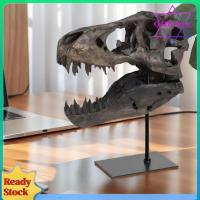 ราคา ตุ๊กตาฟอสซิล Tyrannosaurus Rex พร้อมวงเล็บ รูปปั้นจำลองสำหรับทั้งเด็กและผู้ใหญ่ (42023203492)