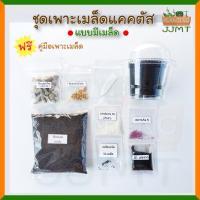 ราคา ชุดเพาะเมล็ดแคคตัส ( พร้อมเมล็ดแคคตัสมีให้เลือก) พร้อมปลูก เพาะเมล็ดระบบปิด ชุดเพาะเมล็ดแคคตัส ราคาถูก (6073210313)