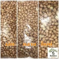 ราคา ถั่วลิสงดิบ ถั่วลิสงปลอก ถั่วลิสงเม็ด 500 กรัม, 1 ก.ก. ส่งฟรี (15526977487)