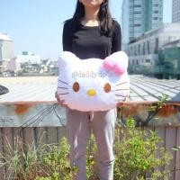 ราคา หมอนอิง Kitty คิตตี้ 12นิ้ว (850498049)