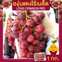 ราคา องุ่นไร้เมล็ด องุ่นแดง 1 กก. นำเข้าจากออสเตรเลีย องุ่นนำเข้า Grapes องุ่น ผลไม้สด ส่งฟรี (21920958519)