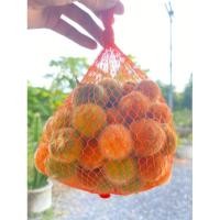 ราคา มะอึก มะเขือขน 200กรัม-1 กก. (29551397823)