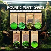 ราคา เมล็ดพันธุ์ไม้น้ำ 5 กรัม สำหรับปลูกตกแต่งตู้ปลา ตู้ไม้น้ำ ช่วยสร้างระบบนิเวศให้กับตู้ปลา ปลูกง่าย โตไว (43018414218)