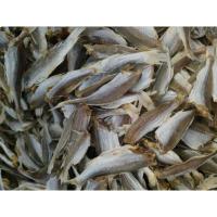 ราคา ปลาตัวเล็กแดดเดียวเค็ม (25630128691)