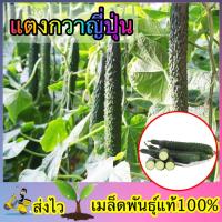 ราคา เมล็ดพันธ์ุ แตงกวาญี่ปุ่น ซองละ 2g (27374219751)