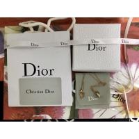 ราคา สร้อยคอพร้อมจี้ ดิออร์ งานพรีเมียมพร้อมกล่อง ถุงแบรนด์ (12432732182)