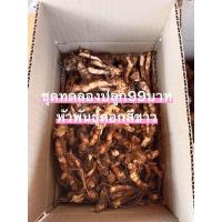 ราคา หัวพันธุ์ดอกกระเจียวขาวป่า 100 หัว (22270613250)