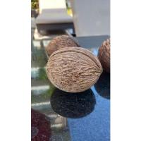 ราคา ลูกตีนเป็ดน้ำแบบแห้ง (19660141703)