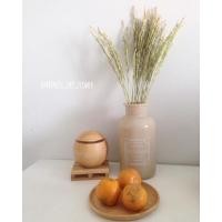 ราคา รวงข้าวหอมมะลิสีธรรมชาติ (3124468185)