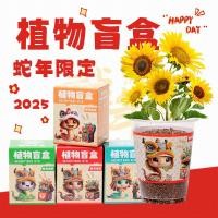 ราคา พวงกุญแจ เบย์เบลด xพวงกุญแจ เบย์เบลด xของขวัญปีใหม่พืชกล่องตาบอดเด็กประถม DIY สร้างสรรค์ปีงูไม้กระถางมินิเดสก์ท็อปพืชสีเขียวของขวัญเด็ก (27323394815)