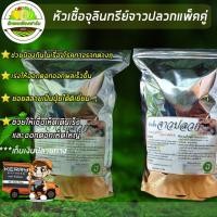 ราคา หัวเชื้อจุลินทรีย์จาวปลวกแท้100% ส่งฟรี แบบแพ็คคู่ (2822017741)