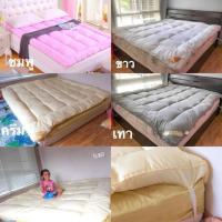 ราคา ที่รองนอน (685102920)