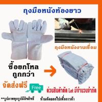 ราคา ถุงมือหนังท้องยาว 12 นิ้ว รุ่น C01212 (12คู่) ถุงมือหนังกลับ, ถุงมือหนังท้อง, ถุงมือหนังเชื่อม, ถุงมือเชื่อมเหล็ก (27411734078)