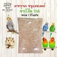 ราคา [1kg.] ข้าวโอ๊ต อาหารนก ขนมนก ข้าวนก ข้าวโอ๊ต สำหรับ นกหงส์หยก นกแก้ว นก ธัญพืชสำหรับนก (13145374712)
