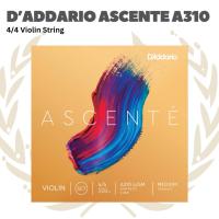 ราคา D'ADDARIO Daddario A310 4/4 Ascenti ชุดสายไวโอลิน - สายไวโอลิน (41020844358)