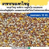 ราคา ( 20 KG.) อาหารนกเขาใหญ่ เขาชวา เขาแขก นกพิราบ (43724041171)