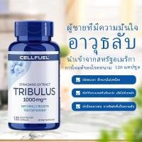 ราคา ฮอร์โมนเพศชาย เสริมสมรรถภาพท่านชาย ผลิตภัณฑ์สุขภาพสำหรับผู้ชาย แคปซูล Tribulus terrestris แอนโดรเจนเพิ่มความแข็งแรงขอ (46753135261)