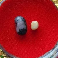 ราคา พระธาตุ ครูบาชุ่ม โพธิโก วัดวังมุย (วัดชัยมงคล) (รหัส C2/3) (24841031950)