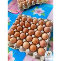 ราคา ไข่ไก่เบอร์ 3 ปลอดสารเคมี สะอาด สด ใหม่ จากฟาร์มวิรัช เทวภักดิ์ (22444457941)