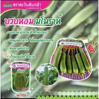 ราคา เมล็ดพันธุ์บวบหอม มโนราห์(50กรัม)บวบหอม (24337291908)