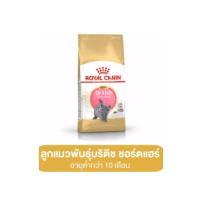 ราคา Royal Canin Kitten British Shorthair 10 kg อาหารลูกแมว พันธุ์บริติช ชอร์ตแฮร์ (16665539126)