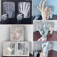 ราคา 1:1 Hand Joint Super Movable Model Simulation Hand White Grey Hand Left Right Draw Sketch Art Painting Action Figure Mod (26270442243)