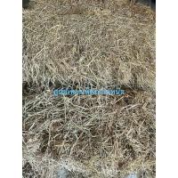 ราคา ฟางข้าว สำหรับเพาะเห็ด (27884322199)