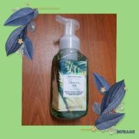 ราคา โฟมล้างมือ BATH & BODY WORKS กลิ่น COASTAL AIR (10056014688)