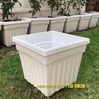 ราคา กระถางใส่ต้นไม้พลาสติก ทรงสี่เหลี่ยม สีขาว 12 นิ้ว 5ใบ (19480756119)