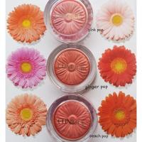 ราคา Clinique Cheek Pop 05#nude Pop (1243371985)