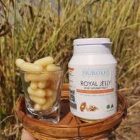 ราคา Nubolicนมผึ้ง​แท้​100​% (6814642496)