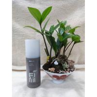 ราคา Wella EIMI Shape Me ผลิตภัณฑ์จัดแต่งทรงผม (6485113051)