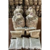 ราคา ชุดเพาะเห็ดฟาง เชื้อ4ก้อน+อาหาร4ถุง+แป้ง4ถุง+คู่มือ (24743196422)