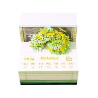 ราคา 2026 ปฏิทินประติมากรรมกระดาษ Treehouse 3d - Magic Reveal Memo Pad พร้อมการออกแบบเซอร์ไพรส์ประจําวัน H3y6 (57701174597)