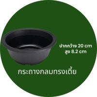 ราคา Mr.Green กระถางบอนไซทรงกลม ขนาด 8 นิ้ว กระถางต้นไม้พลาสติก กระถางมินิมอลสีดำ ตกแต่งสวน (16542357448)