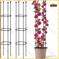 ราคา 4 ขนาด ซุ้มไม้เลื้อย กุหลาบ โครง ระแนง ท่อเหล็กเคลือบ PE กันสนิม เหล็กดัด สามารถใช้ในกระถางได้ (29842750606)