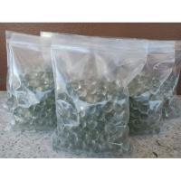 ราคา ลูกแก้ว สีใส ขนาด12 มิล 1kg. (4949846332)