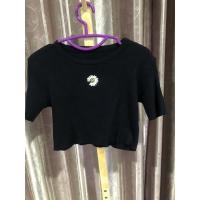 ราคา เสื้อครอปไหมพรมปักดอกเดซี่ (16663536501)
