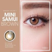 ราคา Mini samui brown พร้อมส่งค่าสายตา (dreamcolor1) (4129184767)