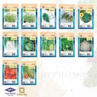 ราคา ผักซองเจียไต๋ ทานตะวันงอก ไควะเระ ยอดฟักทอง กระเจี๊ยบเขียว กะหล่ำปลี ผักกาดหัว กะหล่ำดอก มะเขือเทศ มะละกอ (14972073346)