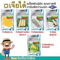 ราคา เจียไต๋ ผักซอง เมล็ดพันธุ์ผัก (ผักสายพันธุ์ทั่วไป) ข้าวโพด ข้าวโพดหวาน ข้าวโพดข้าวเหนียว ข้าวโพดเทียน ข้าวโพดอ่อน (3587496064)