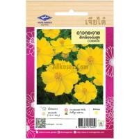 ราคา เมล็ดพันธุ์ ดาวกระจาย สีเหลืองต้นสูง ตราเจียไต๋ (29227970715)