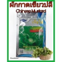 ราคา เมล็ดพันธุ์ ผักกาดเขียวปลี chinese mustard ดูแลน้อย ต้นแข็งแรง ปลูกง่าย น้ำหนักดี ผลผลิตสูง ทนโรค ผักสวนครัว (6335272934)