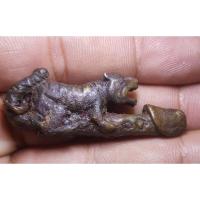 ราคา ตะกรุดเสือขี่ปลัดขิกไม่ทราบที่พระบ้านๆราคาแบ่งปัน (24500870093)