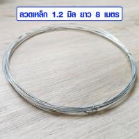 ราคา ลวดเหล็ก 1 มิล ยาว 8 เมตร ลวดมัดเหล็ก ลวดมัดต้นไม้ ลวดมัดของ ลวดผูกเหล็ก ลวด ลวดขาว ลวดเส้นเล็ก ลวดดัด ลวดงานฝีมือ SMP (21927422889)