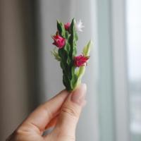 ราคา ต้นแก้วมังกรปลายลวด ขนาด 4'' งานดินปั้น (29155456445)